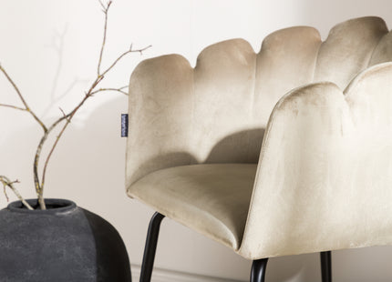 Furniture Fashion Limhamn Matstolar Beige