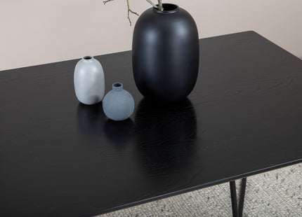 Petra Rektangulära Matbord 190 x 90 Black