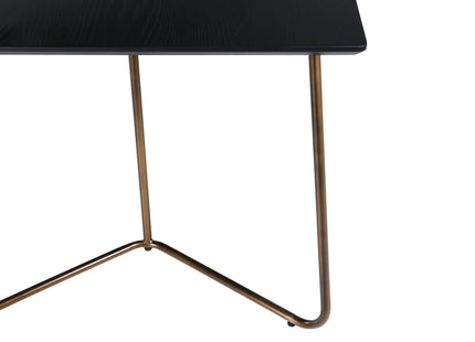 Petra Rektangulära Matbord 190 x 90 Black
