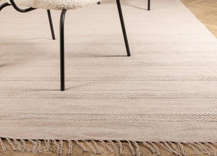 Venture Home Nico Rektangulära Matta 300 x 200 Beige