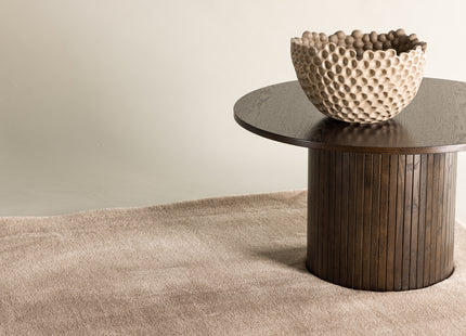 Venture Home Blanca Rektangulära Matta 290 x 200 Beige