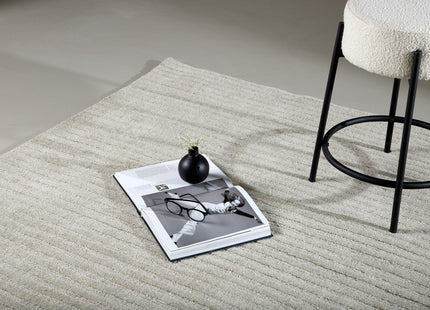 Venture Home Milton Rektangulära Matta 230 x 160 Ljusgrå