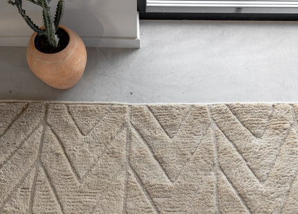 Vind Zoe Rektangulära Matta 300 x 200 Beige
