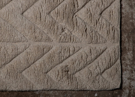 Vind Zoe Rektangulära Matta 300 x 200 Beige
