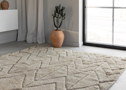 Vind Zoe Rektangulära Matta 300 x 200 Beige
