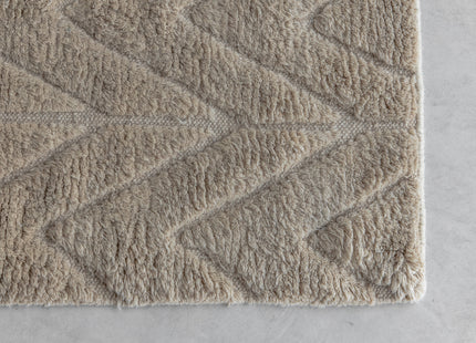 Vind Zoe Rektangulära Matta 300 x 200 Beige