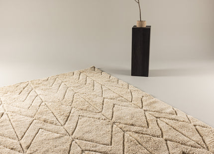 Vind Zoe Rektangulära Matta 230 x 160 Beige