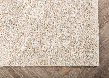 Venture Home Walter Rektangulära Matta 340 x 240 Beige