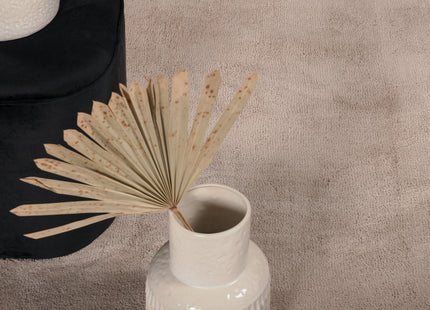 Venture Home Undra Rektangulära Matta 240 x 170 Beige