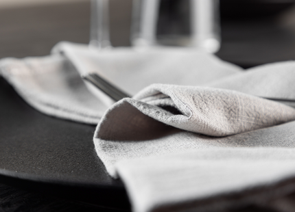 Venture Home Bloria Servetter 2-pack Ljusgrå