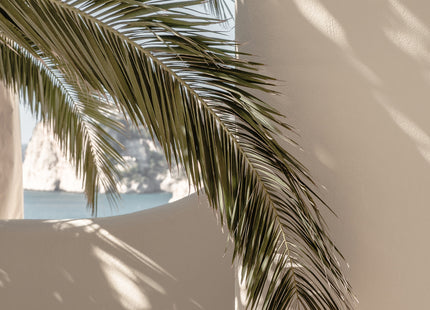 Venture Home Palmleaf Posters Beige