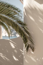 Venture Home Palmleaf Posters Beige