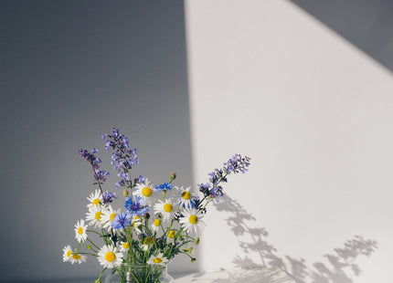 Venture Home Flowers Posters Vit