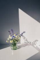 Venture Home Flowers Posters Vit