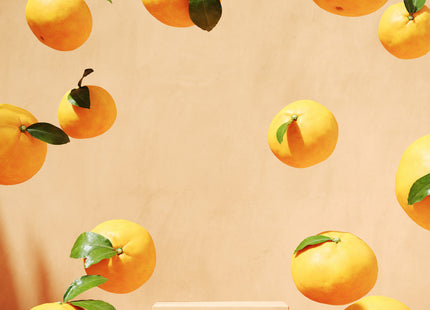 Venture Home Lemons Posters Beige