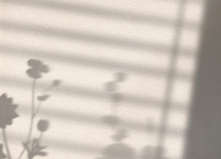 Venture Home Flower Shadow Posters Vit