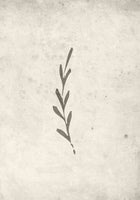 Venture Home Autumn leaf Posters Beige