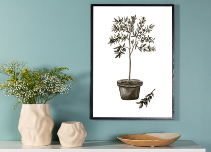 Venture Home Olive Posters Grön