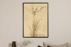 Venture Home Plant art Posters Beige