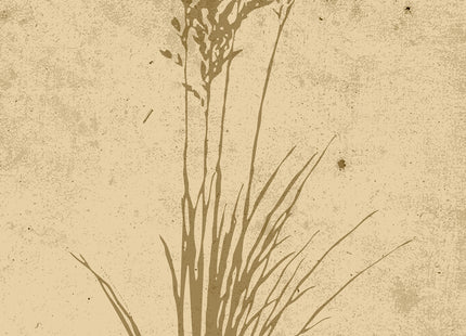 Venture Home Plant art Posters Beige