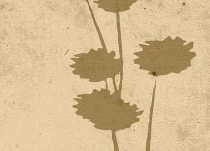 Venture Home Flower art Posters Beige