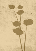 Venture Home Flower art Posters Beige