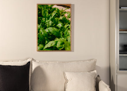 Venture Home Gree leaf Posters Grön