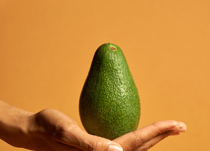 Venture Home Avocado Posters Orange