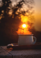 Venture Home Morning coffee Posters Gul