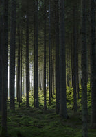Venture Home Woods Posters Grön
