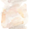 Venture Home Water colour Posters Beige