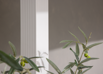 Venture Home Lazio Pergola 295 x 250 x 295