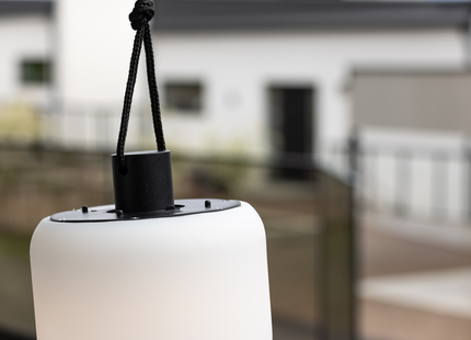 Venture Home Colie Taklampa Utomhus
