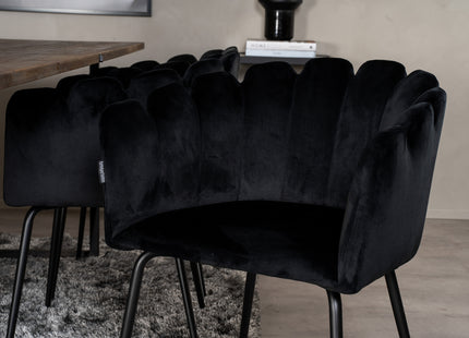 Furniture Fashion & Venture Home Limhamn & Padang Matstolar Svart + Rektangulära Matbord 250 x 100 Nature