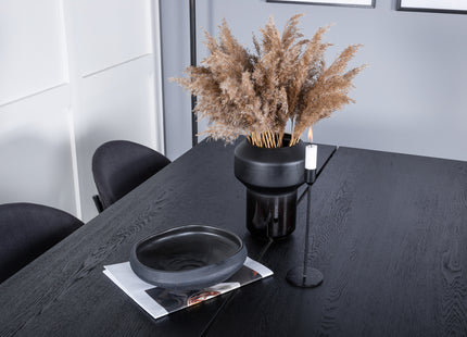 Venture Home Sleek & Vault Rektangulära Matbord 195 x 95 Svart + Matstolar 2-pack Svart