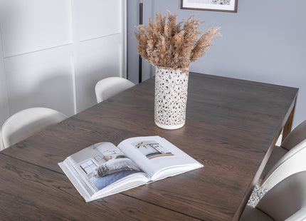 Vind & Venture Home Slider & Velvet Rektangulära Matbord 170 x 95 Nature + Matstolar 2-pack Grädde
