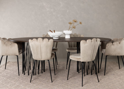 Furniture Fashion Limhamn & Stone Matstolar 2-pack Beige + Ovala Matbord 220 x 100 Mocca