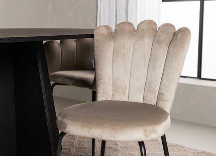 Furniture Fashion & Venture Home Limhamn & Bootcut Matstolar 2-pack Beige + Ovala Matbord 230 x 115 Svart