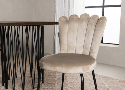 Furniture Fashion Limhamn & Stone Matstolar 2-pack Beige + Ovala Matbord 220 x 100 Mocca