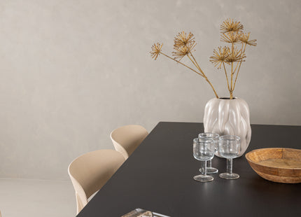 Venture Home Åstol & Vail Matstolar 2-pack Beige + Rektangulära Matbord 200 × 100 Svart