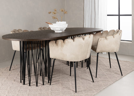 Furniture Fashion Limhamn & Stone Matstolar Beige + Ovala Matbord 220 x 100 Mocca