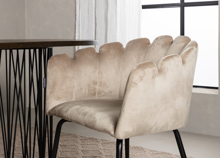Furniture Fashion Limhamn & Stone Matstolar Beige + Ovala Matbord 220 x 100 Mocca