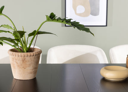 Venture Home Day & Astrid Matstolar 2-pack Offwhite + Rektangulära Matbord 200 x 90 Svart