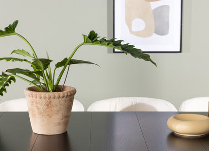 Venture Home Astrid & Edina Rektangulära Matbord 200 x 90 Svart + Matstolar 2-pack Vit