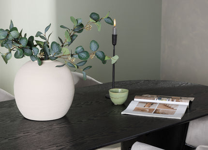 Venture Home Evelina & Isolde Matstolar 2-pack Grå + Ovala Matbord 180 x 90 Svart