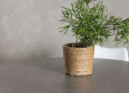 Venture Home Piazza & Zeno Runda Matbord ⌀120 Grå + Matstolar 2-pack Vit