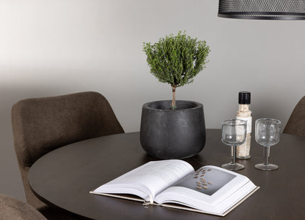 Venture Home Kaseidon & Tomorrow Runda Matbord ⌀100 Mörkbrun + Matstolar 2-pack Brun