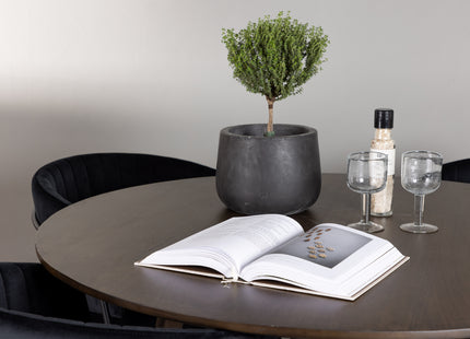 Venture Home Kaseidon & Selma Runda Matbord ⌀100 Mörkbrun + Matstolar 2-pack Svart