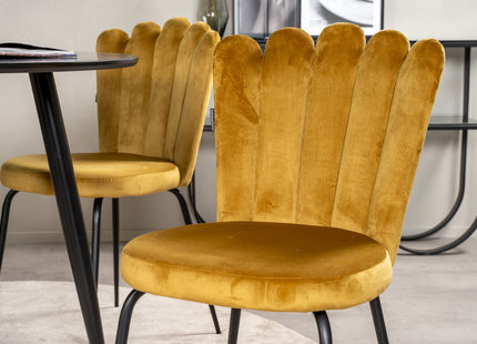 Furniture Fashion & Venture Home Limhamn & Plaza Matstolar 2-pack Gul + Runda Matbord ⌀100 Svart