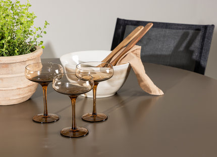 Venture Home Alina & Santa Fe Matgrupp Utomhus Med 4st Matstolar Svart/Brun